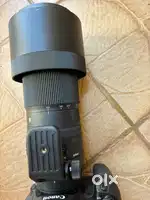 Sigma 150-600mm, wildlife/birds big lens, not a single scratch or mark