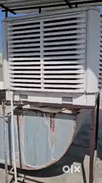 Duck cooler