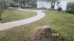 Real estate marketing