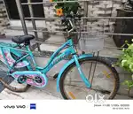 Breeze Girls bicycle