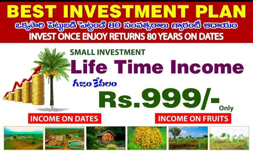 Sampangi group of companies