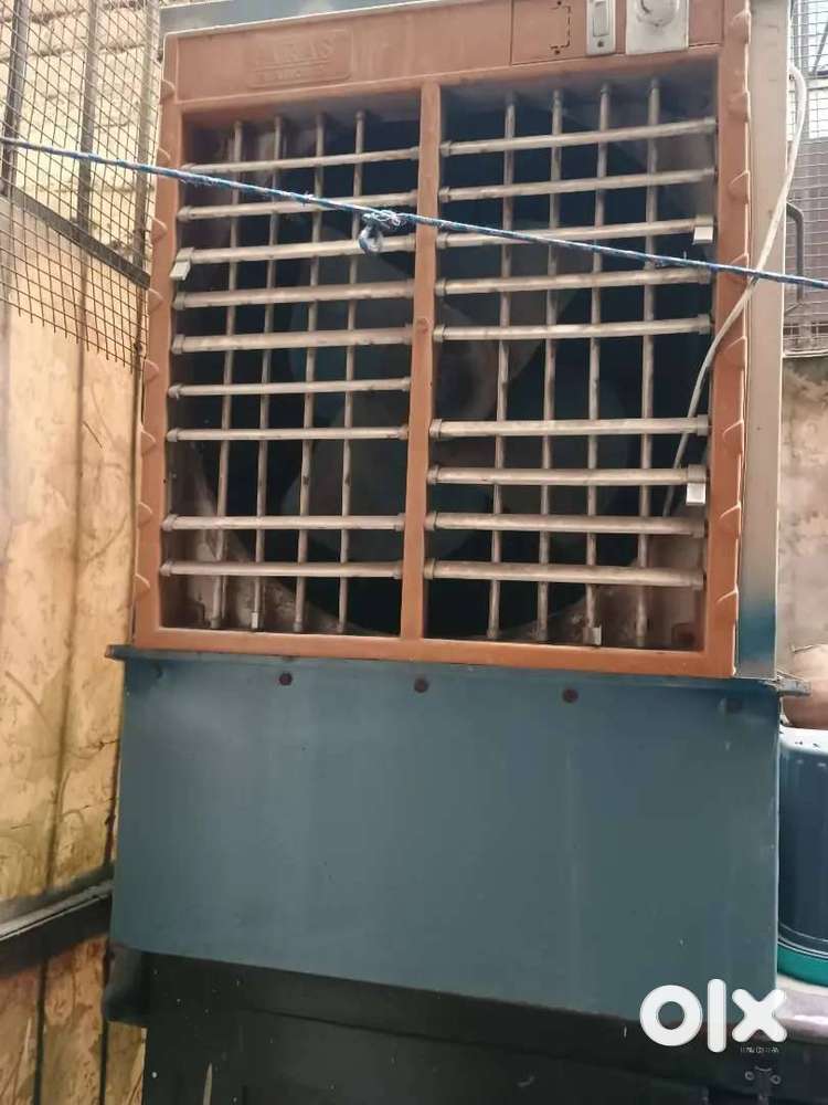 Cooler iron 2 year old