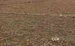 Suri to bolpur raod a purandarpur ar kacha akta jaiga bikri acha