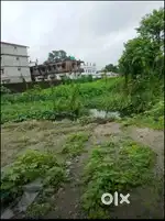 Ranidaga jome