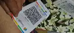 Team Leader In Google Pay