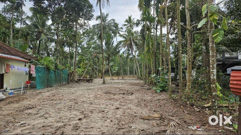 LAND  SUITABLE FOR AGRICULTURE AND FOR GODOWN PURPOSE