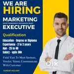Need marketing executive 3 vacancies