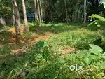 6 Cents of Land in Panampilly Nagar, Ernakulam