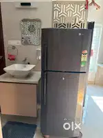 Fridge or refrigerator
