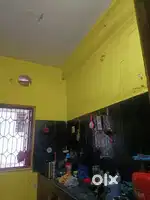 Need a girl Roommate