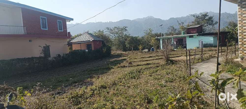 51 Marla Roadside Plot for Sale – Prime Location Sagoor, Baijnath
