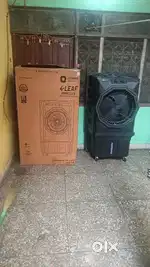 3 month old New Cooler