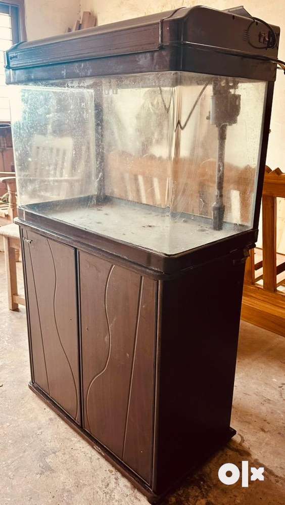 Imported camry 3feet aquarium available with full set with accessories