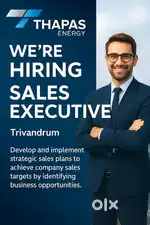 SALES EXECUTIVE