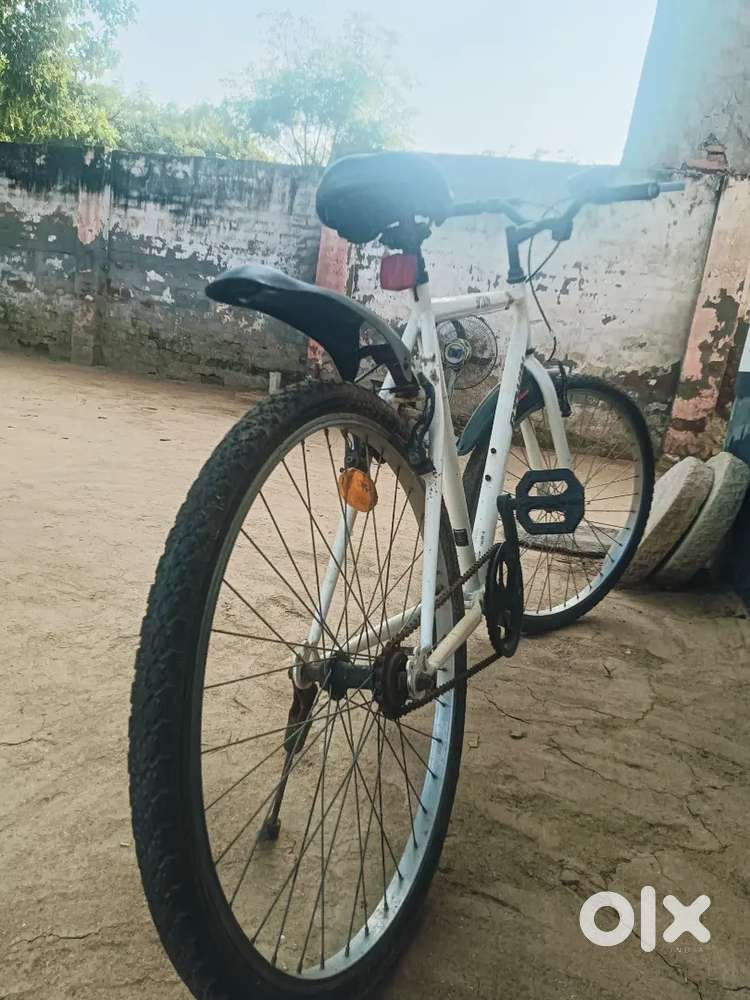 6 months old with good condition