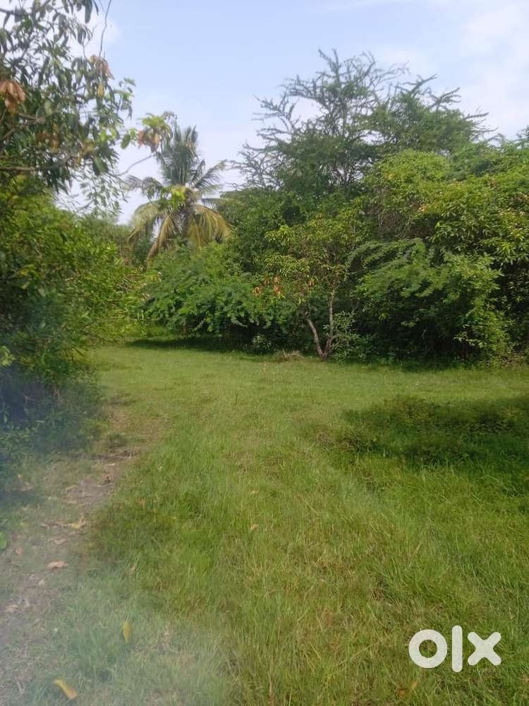 7 acres farmland for sale in Vellore