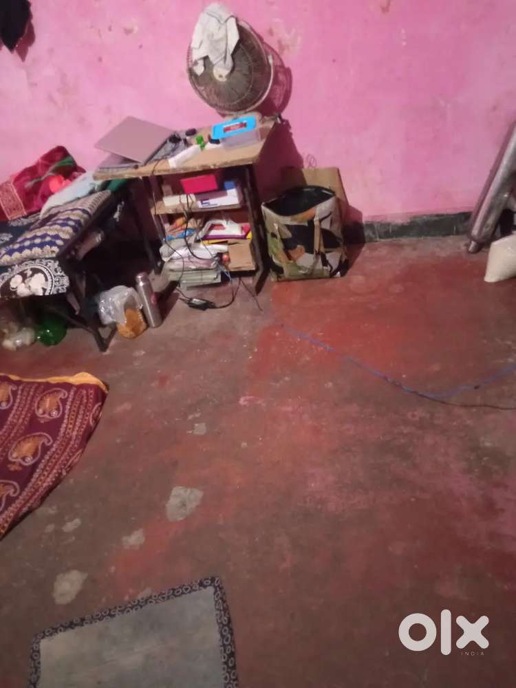 One Girl roommate required