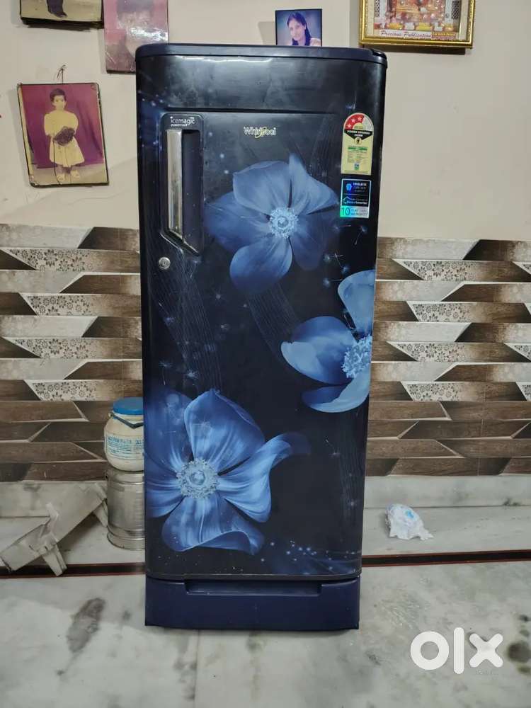 Fridge Refrigerator
