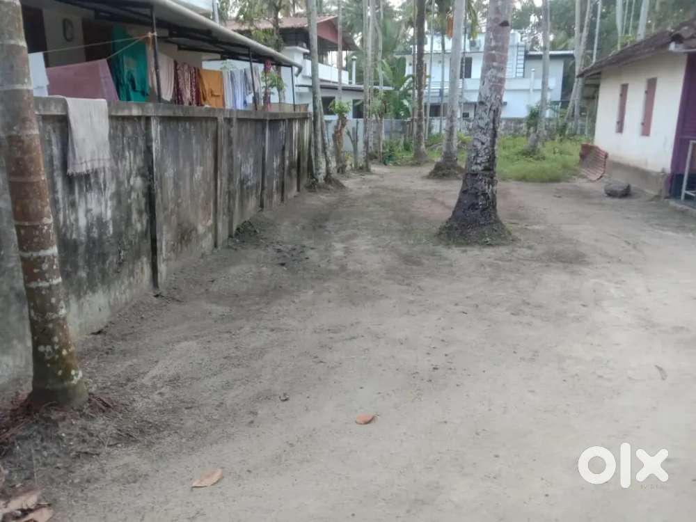 22 cent house plot area 3 meter way to plot 750 meter from KPRoad