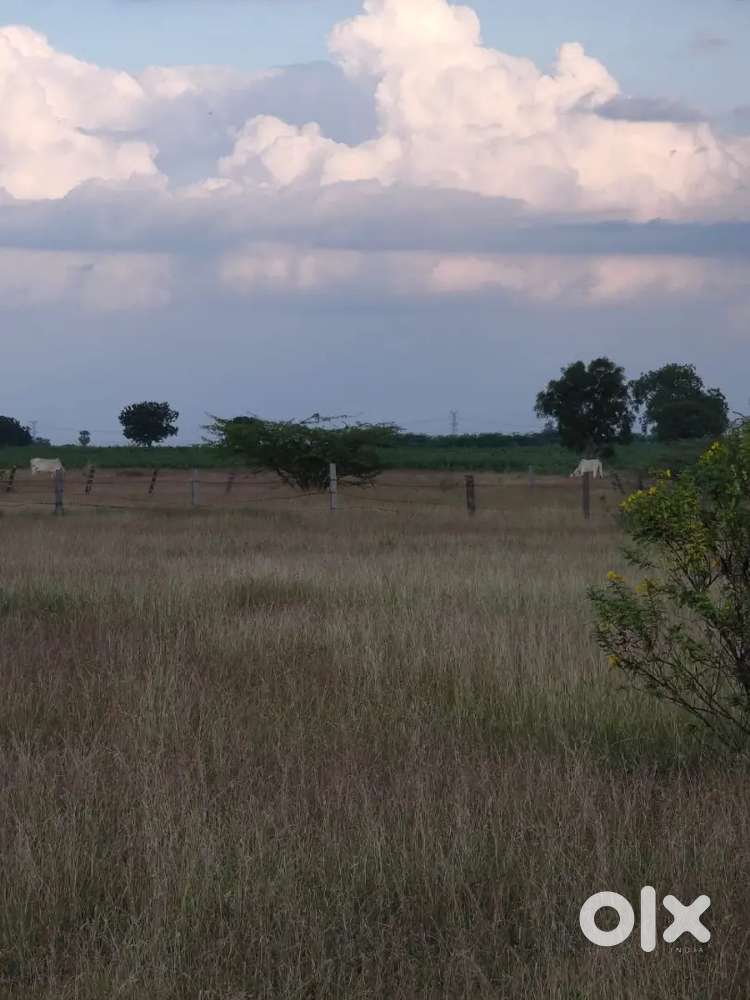 2421 sq yards farm land for sale