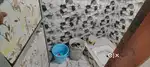 PG room sharing nearby sion  station