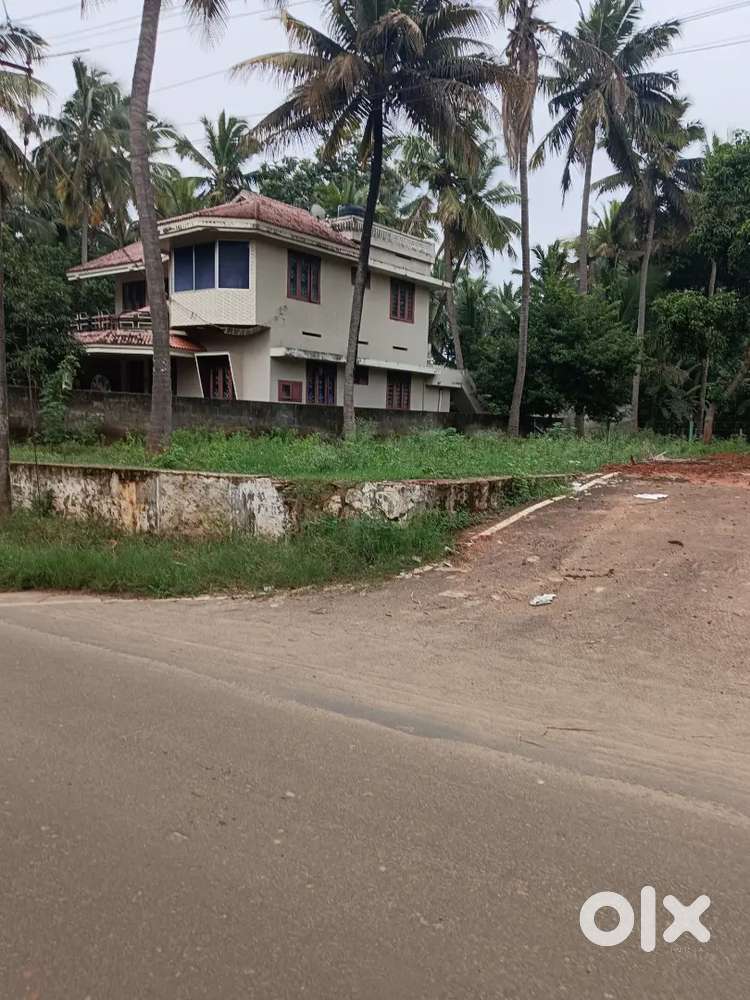 12 Cent Commercial Land, 80 Ft Frontage in Konam Paruthivilai Junction