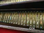 Harmonium  *Scale Changer*