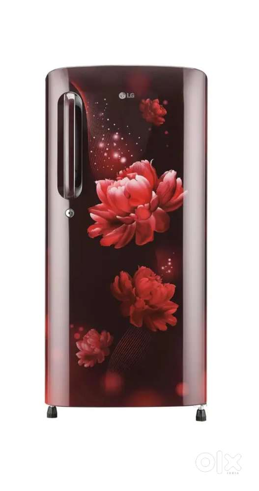 LG 185L Single Door Refrigerator – B201ASBD  Purchased Nov 2025