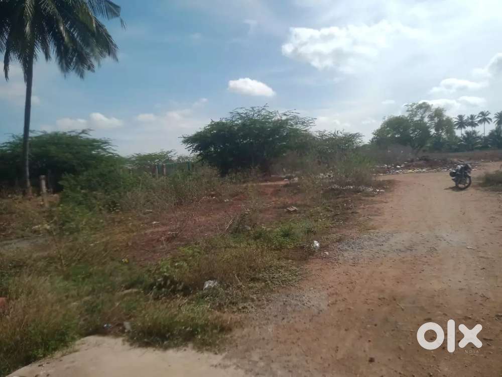 Thennampalayam (Arasur )