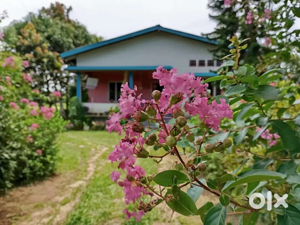 House& 3kotha land sell