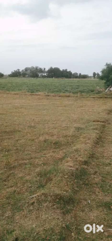 agriculture land for sale