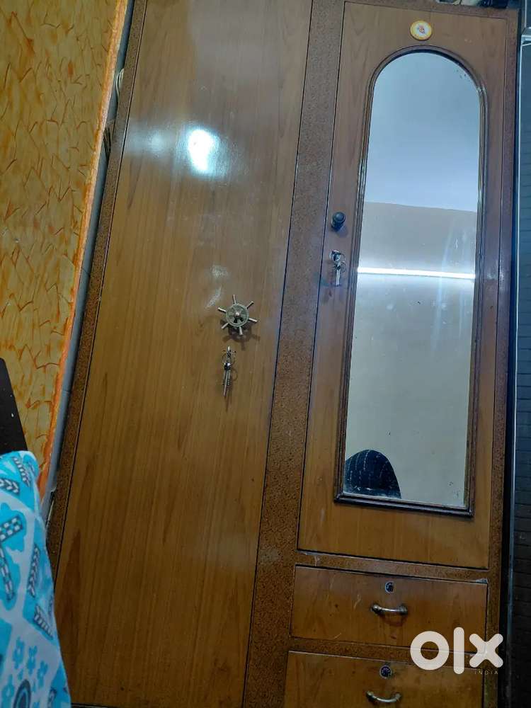Steel Almira 14 yrs old with mirror