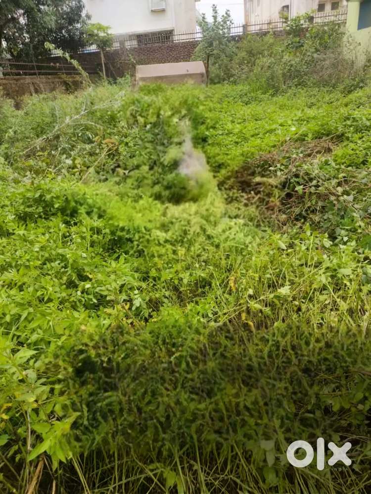 Vacant Plot For Rent