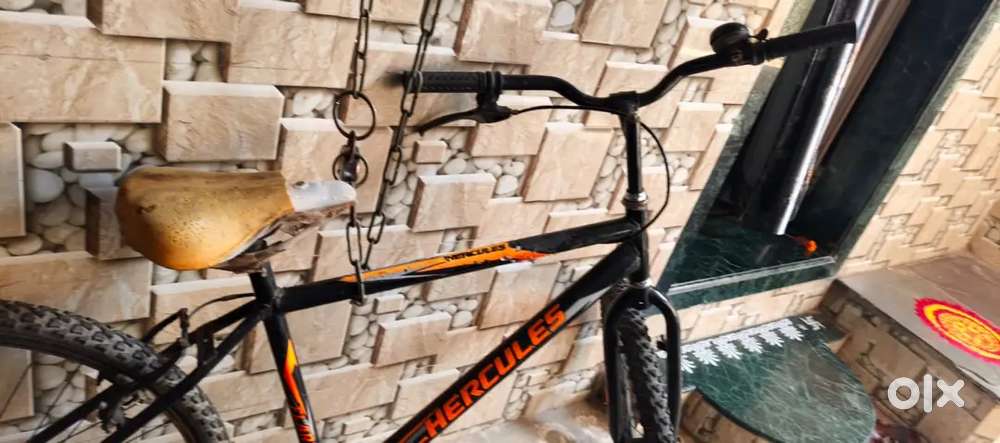 Bicycle of Hercules unisex cycle