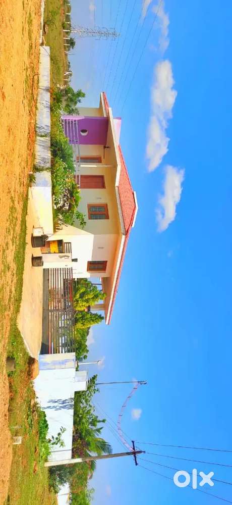 Kinathukadavu farm land