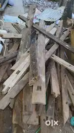 Wood and Plywoods