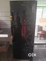 Fridge with double door