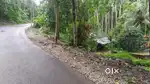 Plot near  Highway
