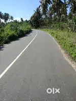 20 acre coconut thottam and house for sale