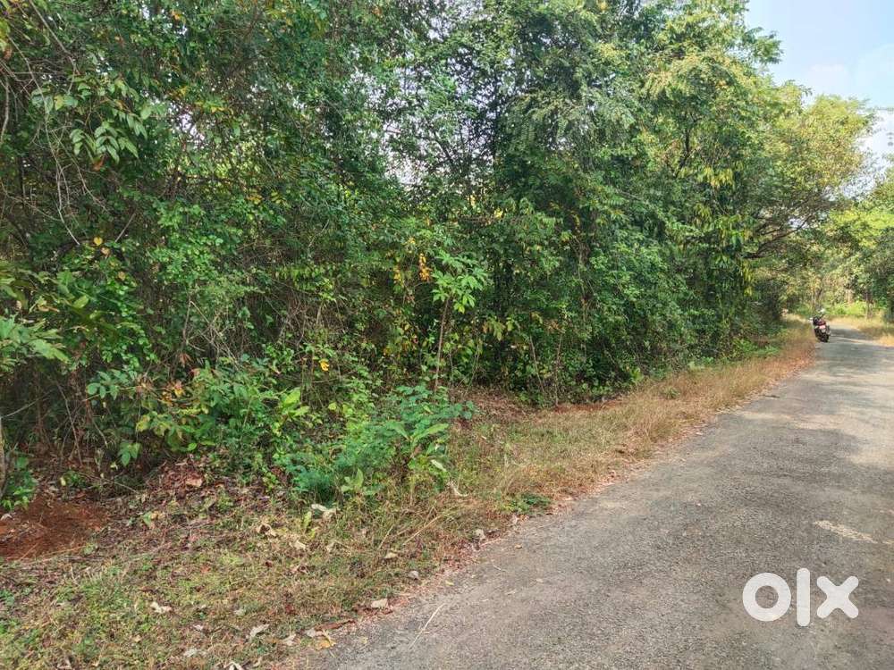 NA,Clear Title, Single Owner, Freehold 6.25 Gunthe plot near Kankavali