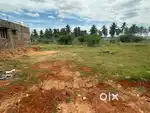 Land for immediate sale in Jameem Avenue