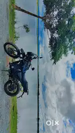 Himalayan 411.