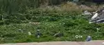 2100 sqft polot for sale commercia corner Danish Kunj DK-1  Kolar