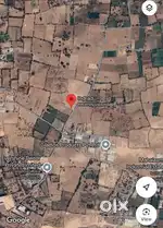 118 vigha land for sell at Indrad kadi