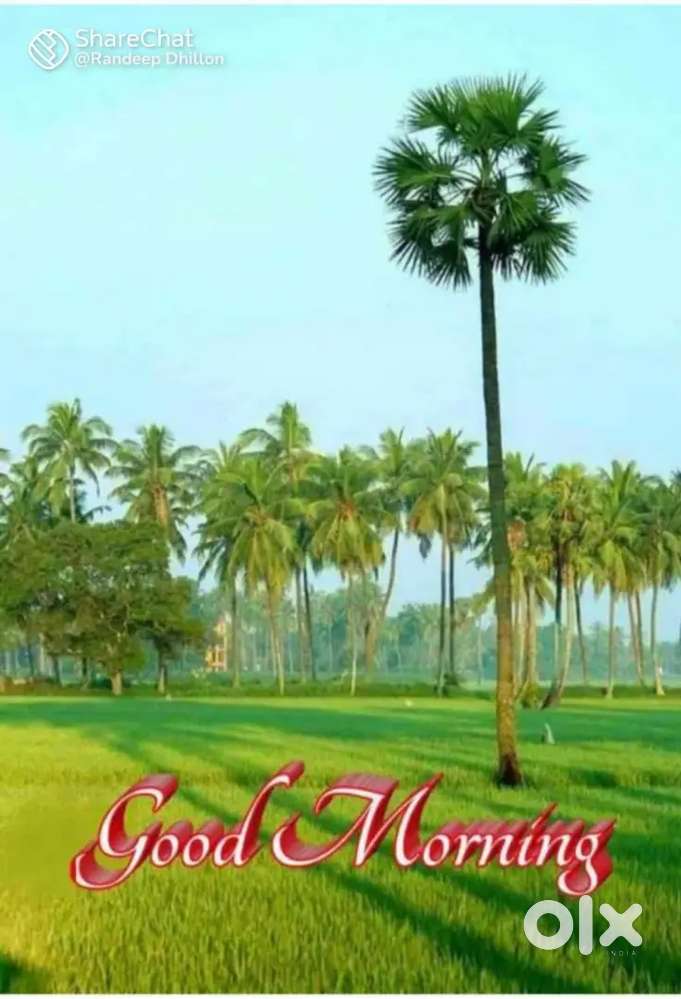 INVESTOR/partner needed for upcoming restaurant