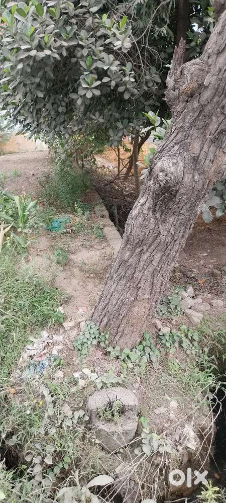 Commercial plot aur shop in  Dineshpur market at very good location