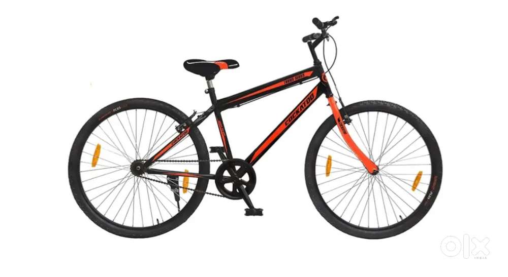 New cycle no problem