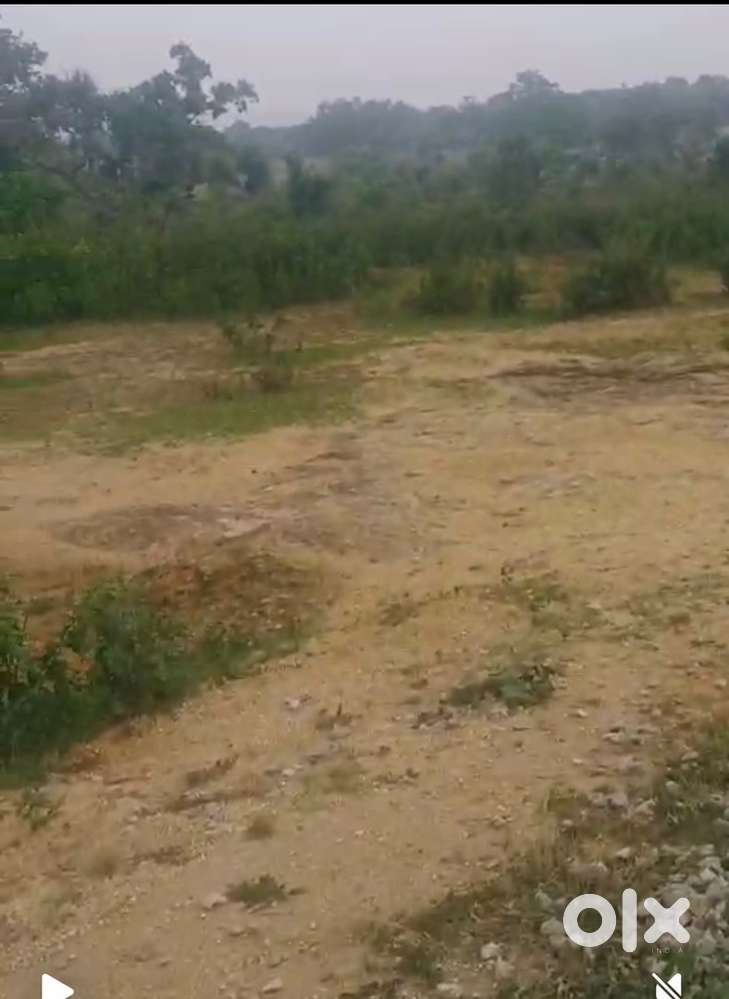 ST polot 200 dismil hai