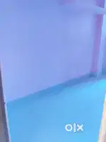 Newly furnished house for rent