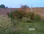 1 kotha Myadi plot
